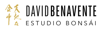 logo 350x100 negro