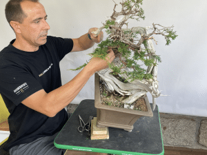 TALLER DE DISEÑO CON DAVID BENAVENTE