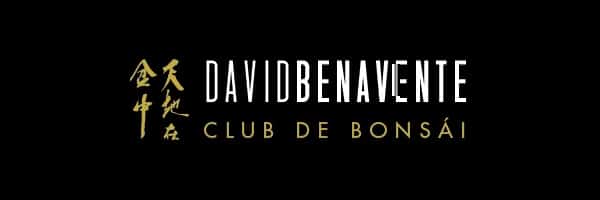 Logo estudio de bonsái