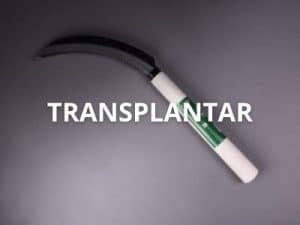 Herramientas para trasplante
