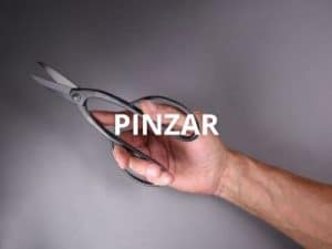 Podar y pinzar