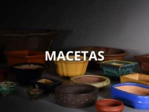 Macetas Tokoname Japonesas Esmaltadas