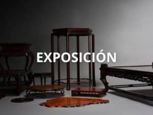 Elementos exposición