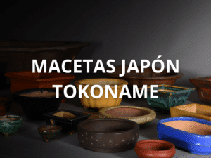 Macetas Japón Tokoname