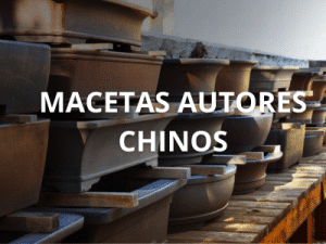 Macetas autores chinos