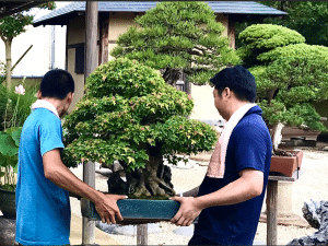 Experiencia Método Japonés (1 semana)