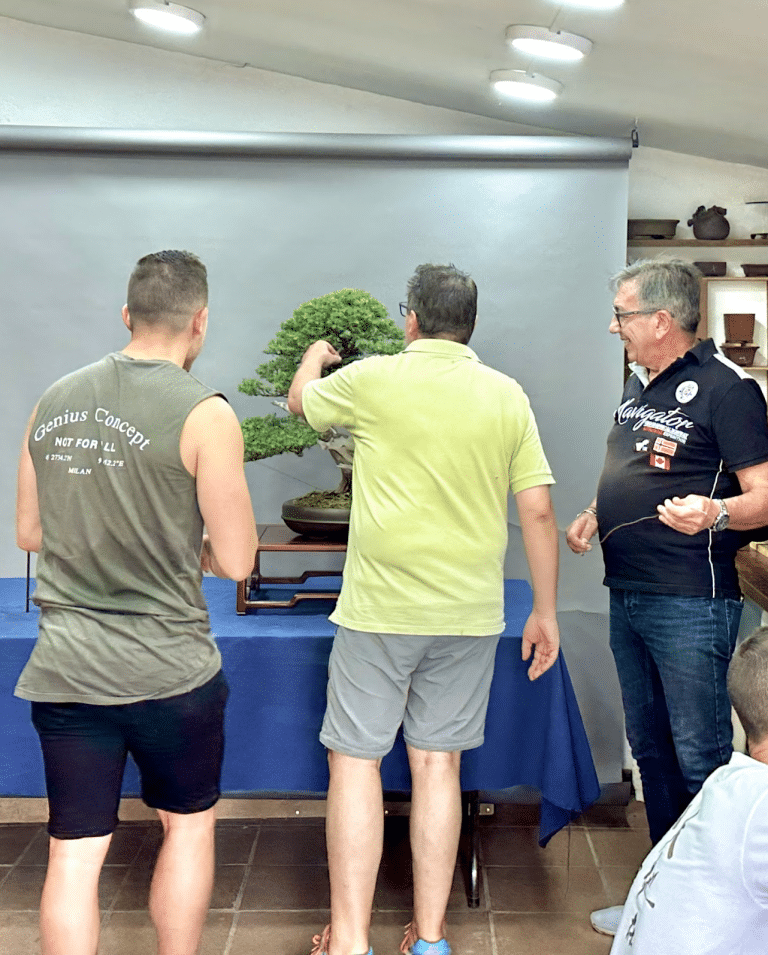 Alquiler mesas para exposicion table rental