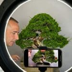 Imagen youtube david