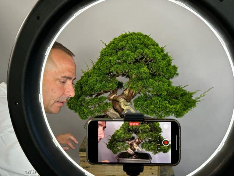 Imagen youtube david