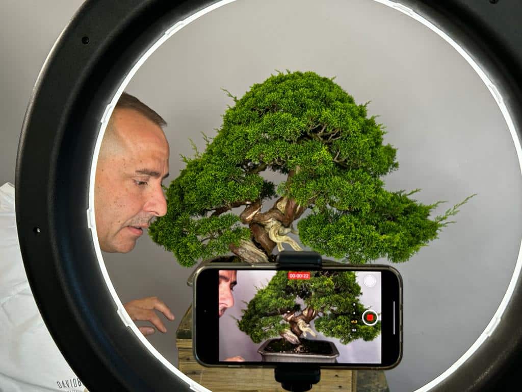 Imagen youtube david