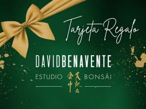 Tarjeta regalo