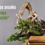 Escuela de diseño: sabina dragón
