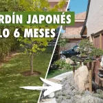 Cómo tener un jardín japonés espectacular en 6 meses - a spectacular japanese garden in only 6 months