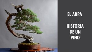 El arpa. Historia de un pino