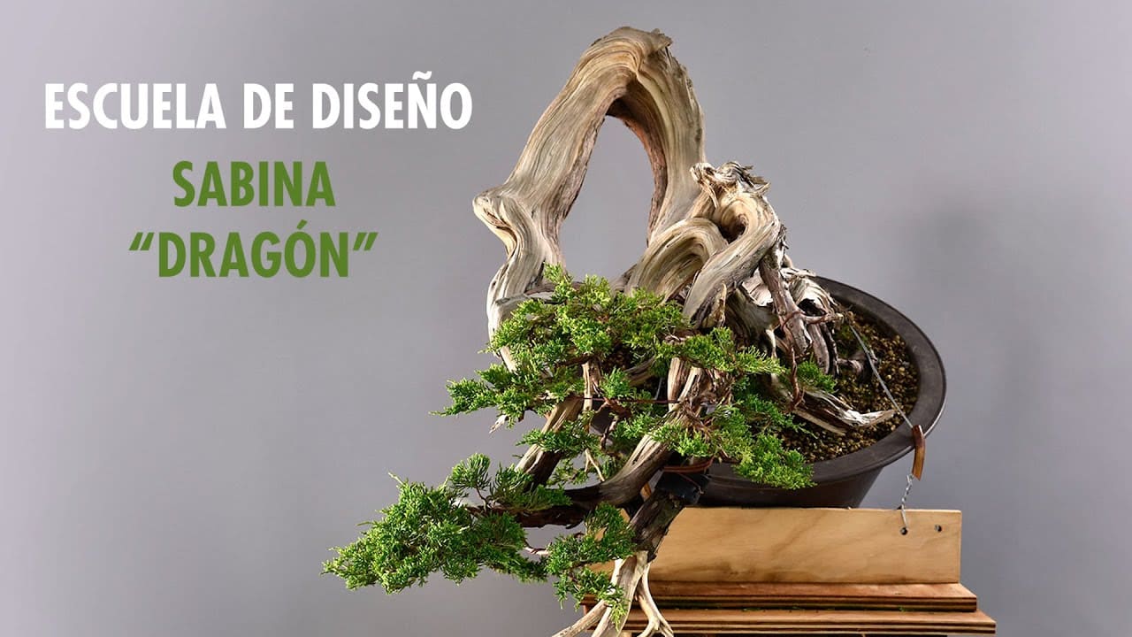Sabina dragon design school 1 Escuela de diseño: sabina dragón