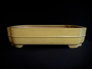61590 HATTORI RECTANGULAR ESMALTADA