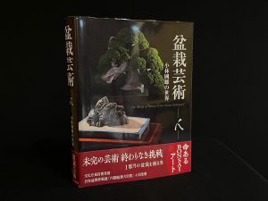 61879 Libro el mundo de Kunio Kobayashi