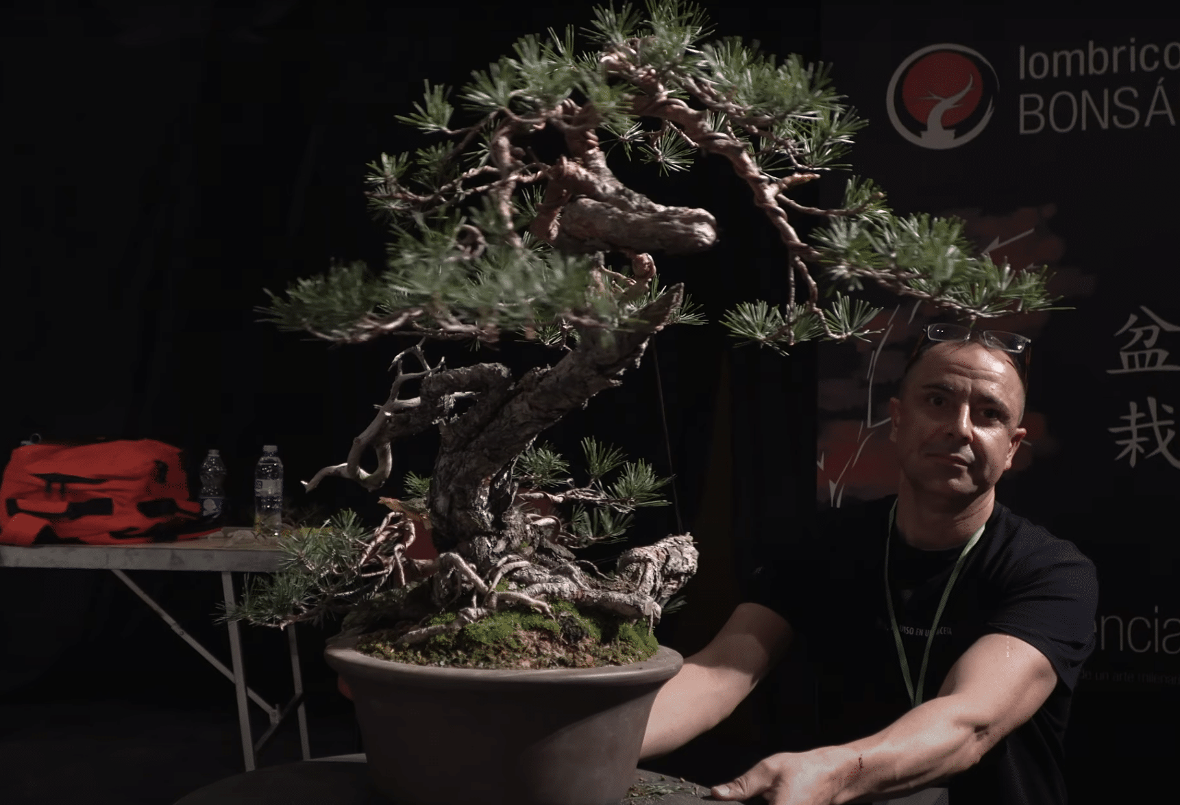 David benavente crea un pino