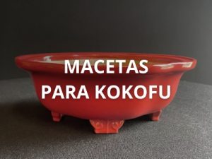 Macetas para Kokufu