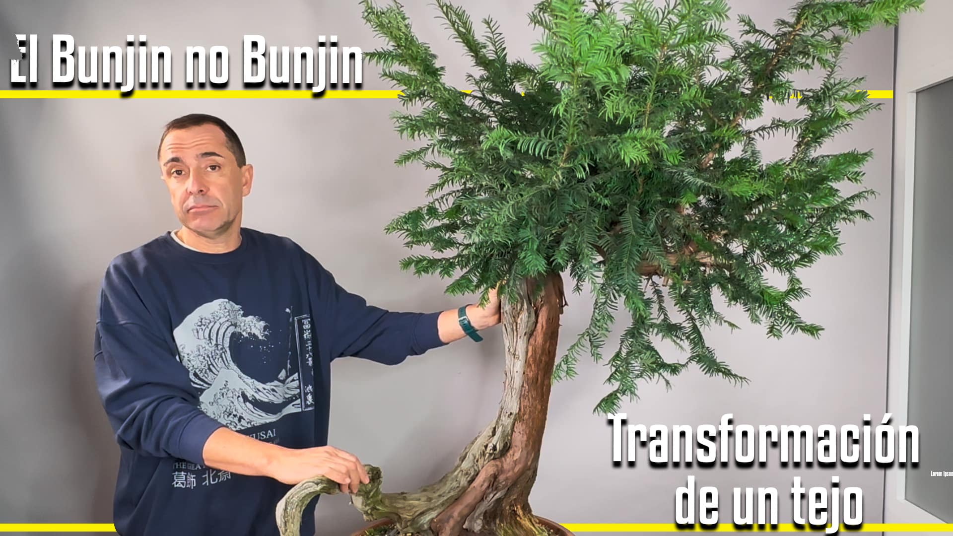 El bunjin no bunjin. Transformación de un tejo