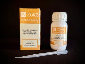 62003 ZOKA SPRING