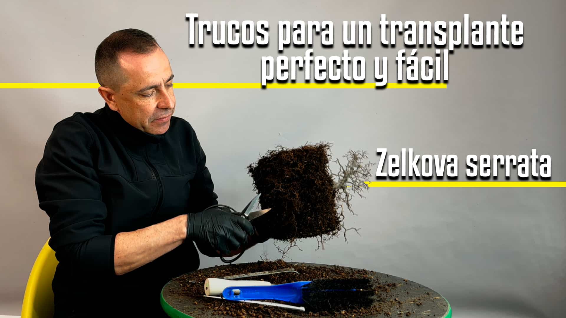 Trucos para un transplante perfecto y fácil.