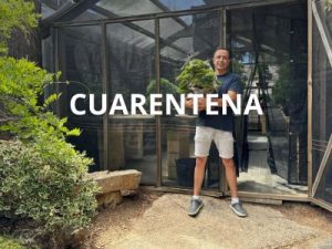 Cuarentena
