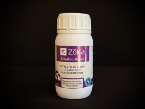 62152 ZOKA ALGAS