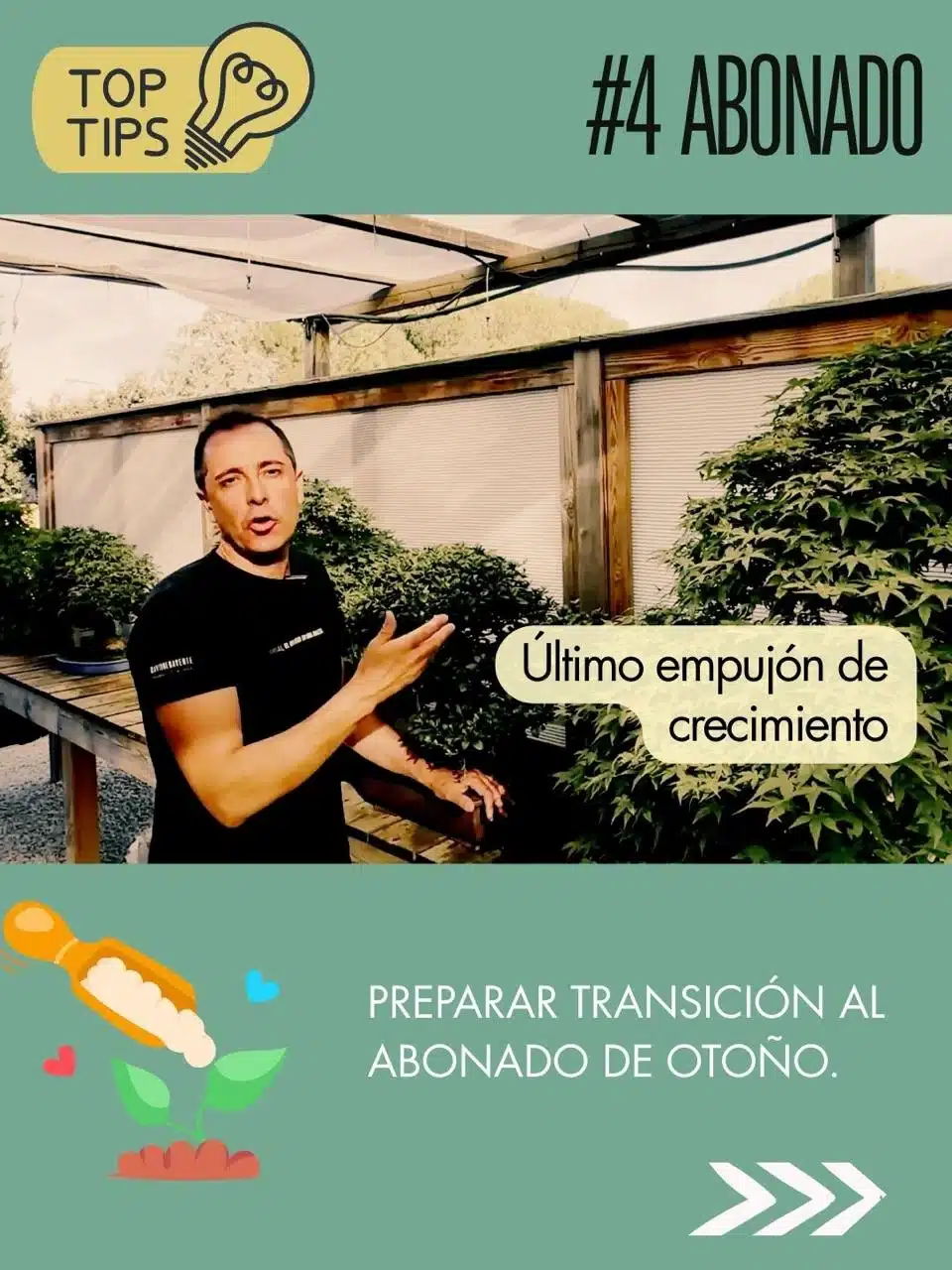 Cuidados de los bonsáis en septiembre 5 Tips de david benavente para el cuidado del bonsái en septiembre : abono