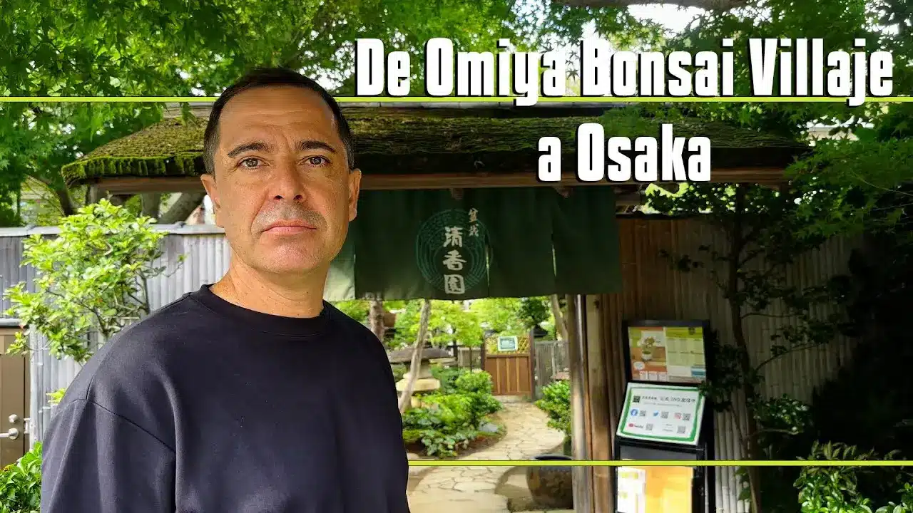Viaje japon 2025