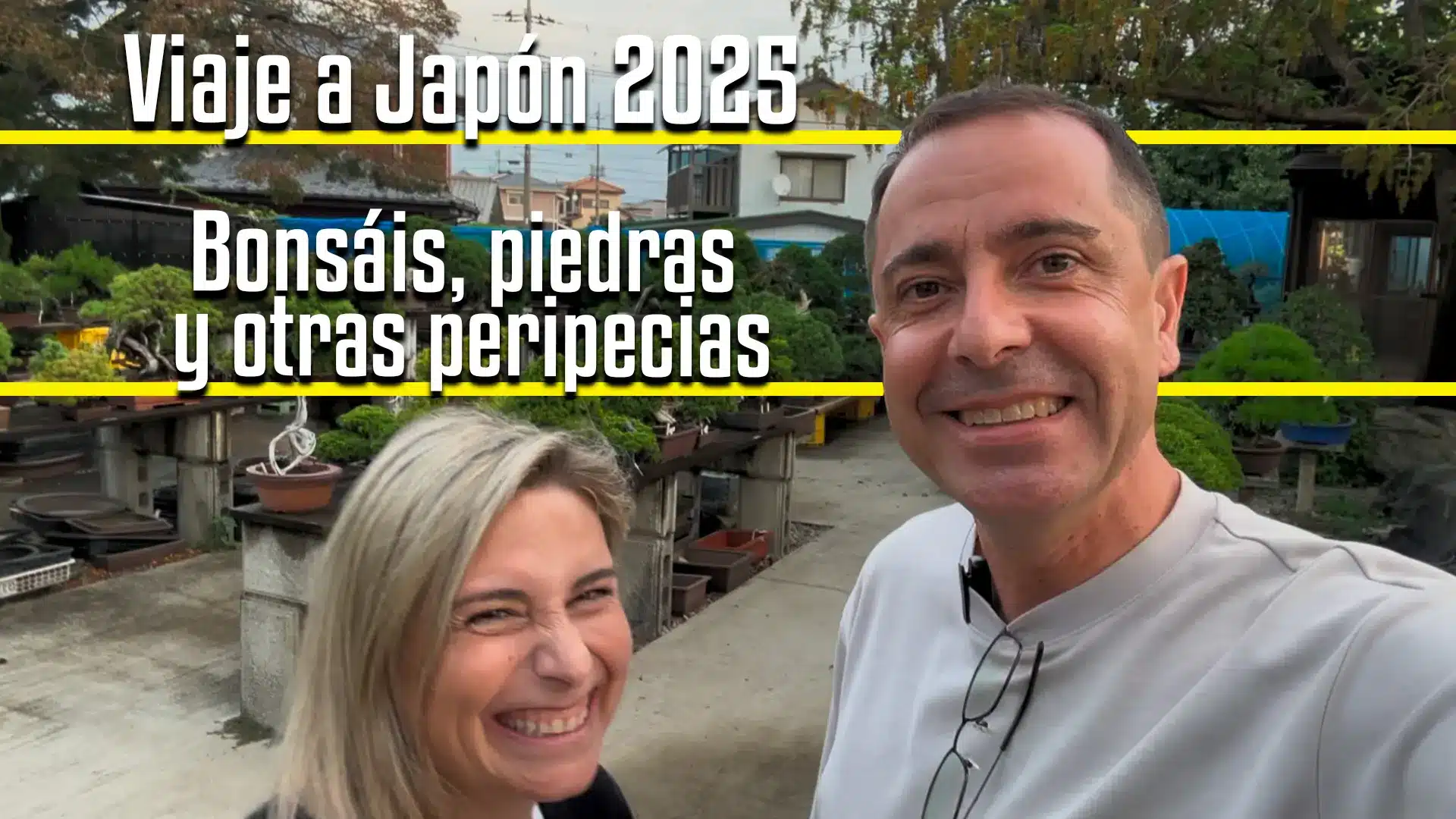 Video viaje a japón 2025 bonsáis, piedras y otras peripecias