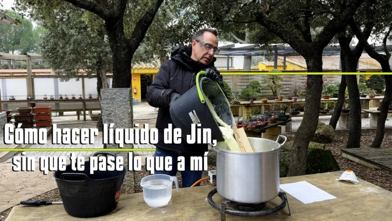 Comohacerliquidojin