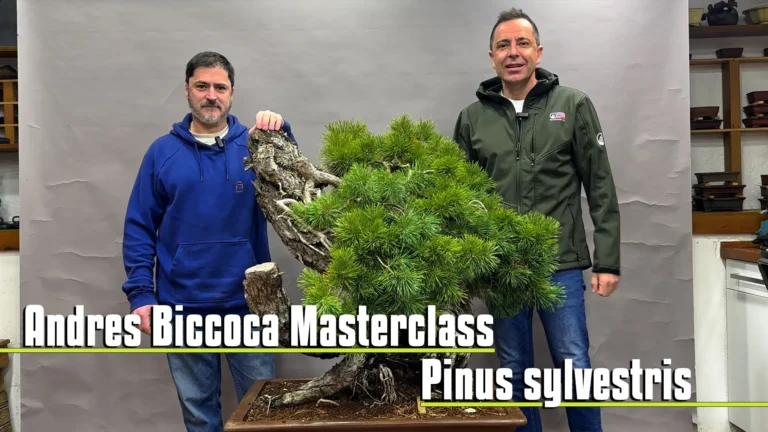 Andrés bicocca masterclass​