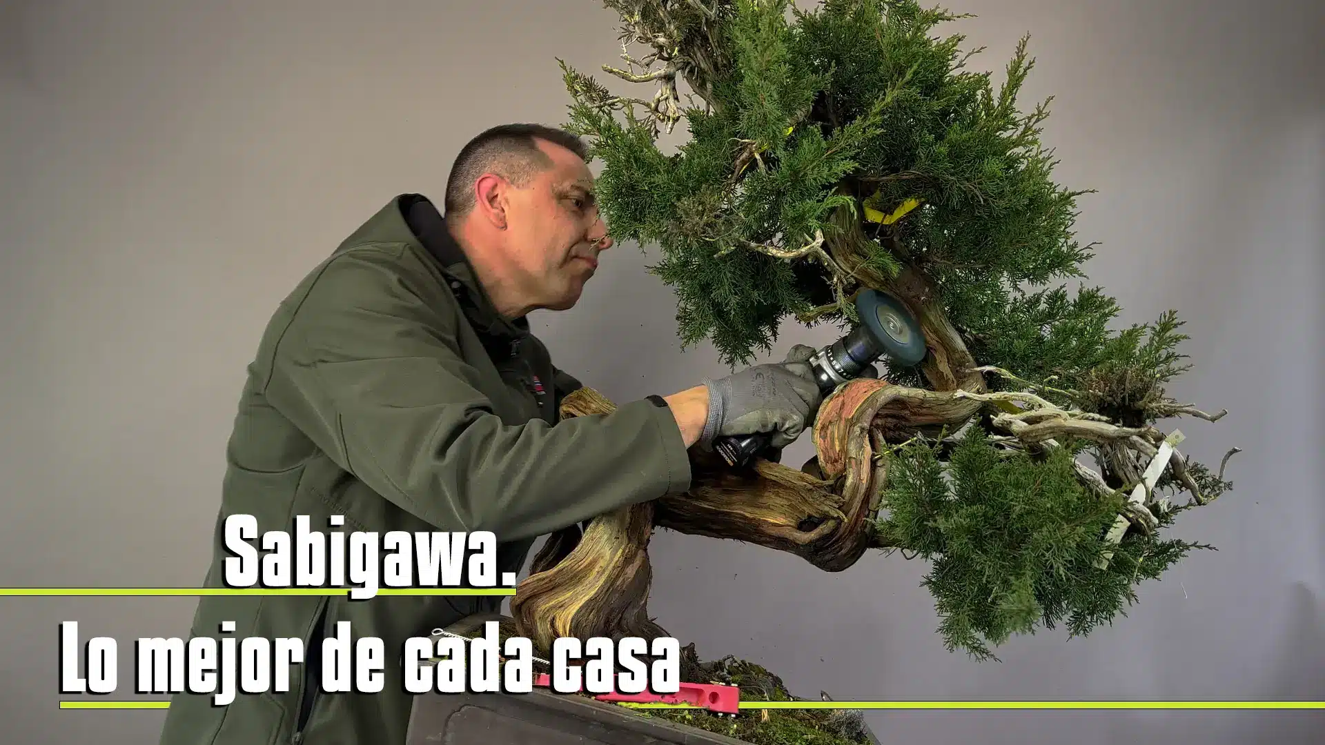 Sabigawa. Lo mejor de cada casa