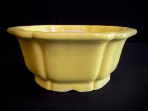 Vista frontal de maceta hexagonal esmaltada en amarillo Shibakatsu Ref. 26I-IDP101-7